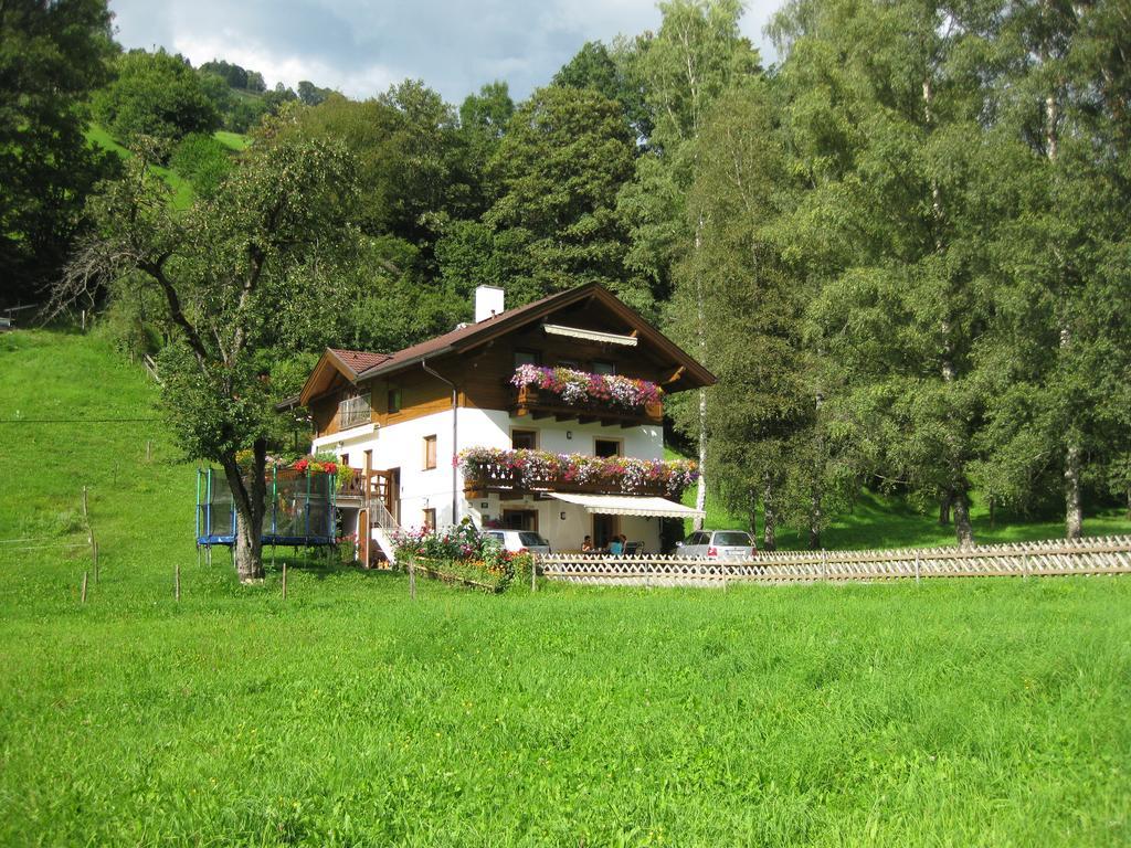 ツェル アム ゼーHaus Gandlerアパートメント エクステリア 写真